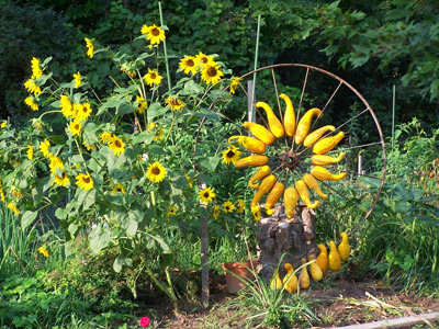 Morgenthaler Flowers