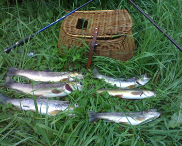 Trout Fishing Wisconsin River Richland County