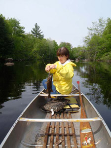 fly fishing Wisconsin