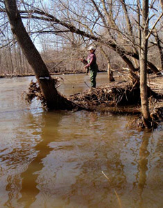 Fly fishing Wisconsin