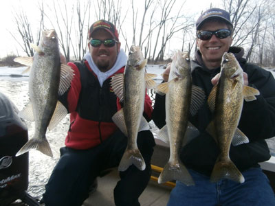 nice walleyes