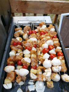 Wild turkey shish-ka-bobs ready for the grill