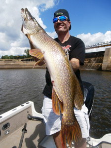 A very nice pike for Bill Morgan - His personal best!