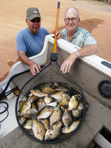 Ted Haydock and George Osenga with their limit of nice panfish