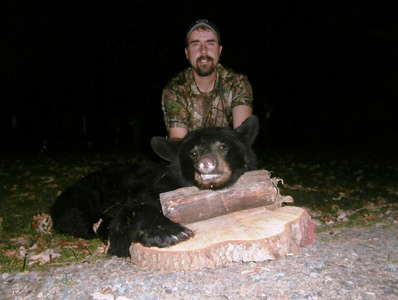 Bear Hunt In Central Wisconsin