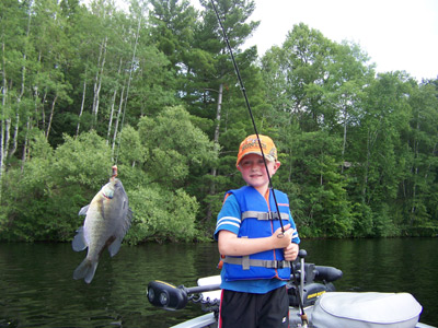 Bluegill caught in Price County