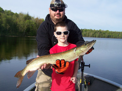 35.5 inch musky