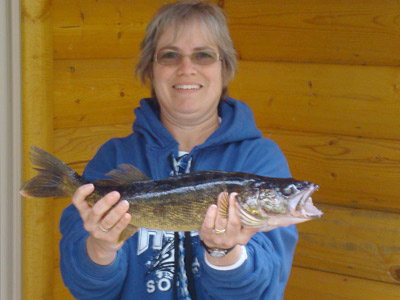 2 nice walleye