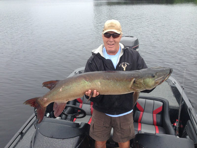 Muskie caught on Chippewa Flowage in Sawyer County