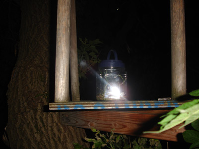 The firefly jar sits atop the tree-house stand, awaiting the next drive.