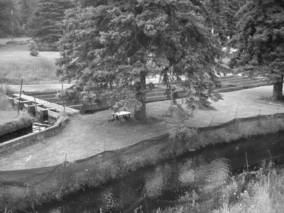 Brule River State Fish Hatchery