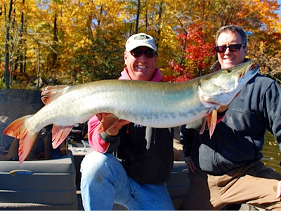 A good day musky fishing