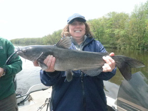 Wisconsin catfish