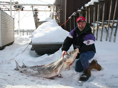 sturgeon spearing