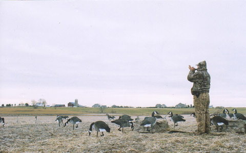 Goose hunting Horicon Wisconsin