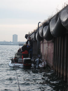 fishing Milwaukee Harbor