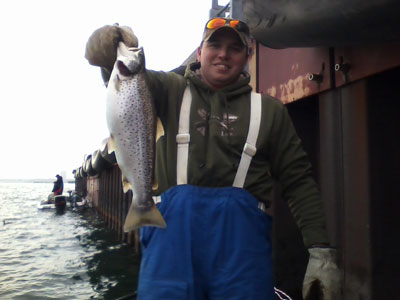 Fishing Brown Trout Milwaukee Harbor
