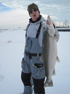 brown trout lake michigan