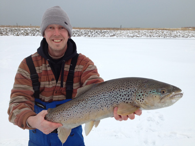 lake michigan trout