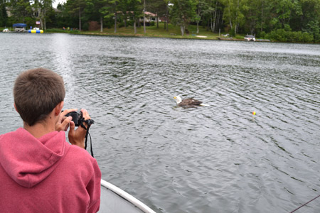 Levi Schrader shoots video of the tangled eagle